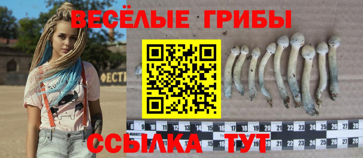 Меф Советская Гавань
